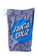 Santa Cruz Rocks Boardshort