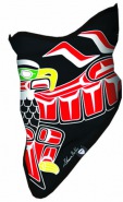 Airhole Eagle Salish