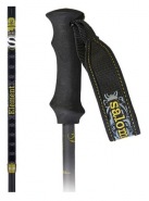 Salomon Element