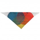 NXTZ Single Layer Bandana