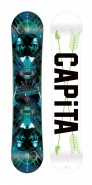 Capita Indoor Survival